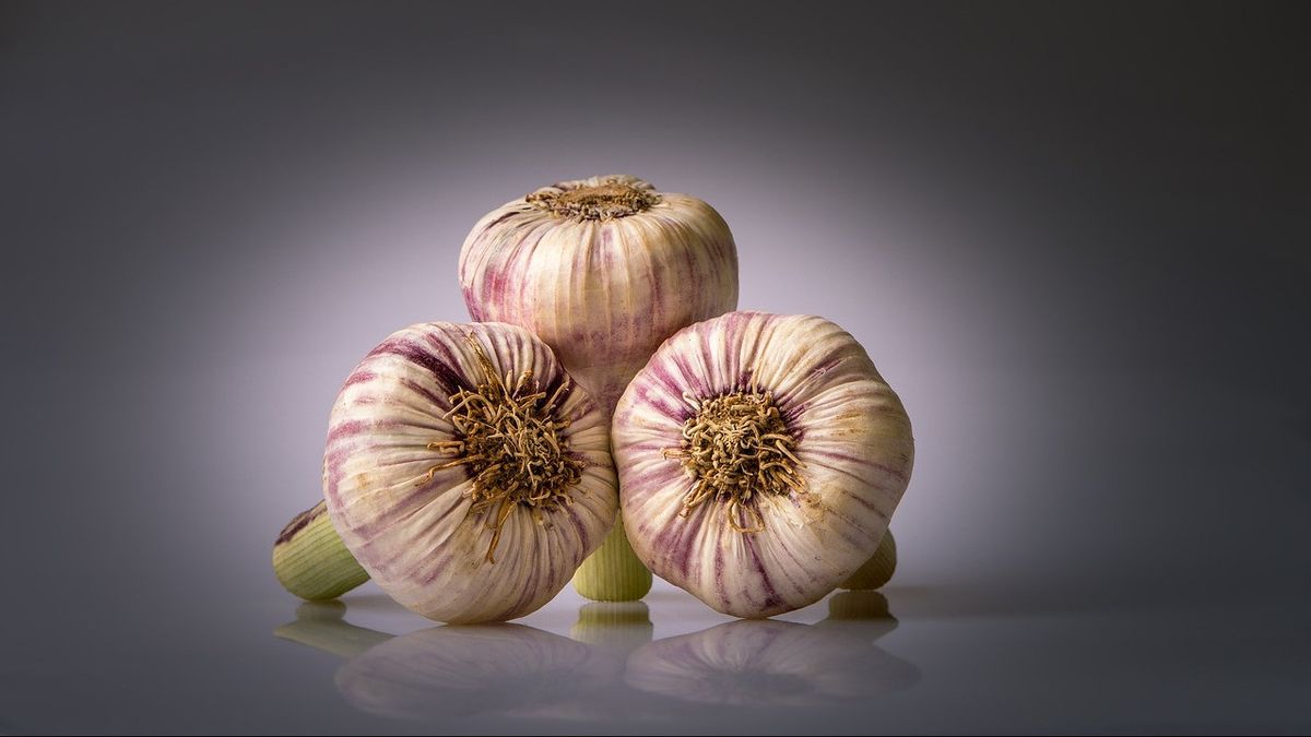 Getting To Know Golden Garlic And Its Benefits For Health, Often Considered Unfit For Consumption