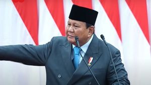 Diminta Prabowo Berantas Tambang Ilegal, Menhan Sjafrie: Negara Hadir, Menertibkan