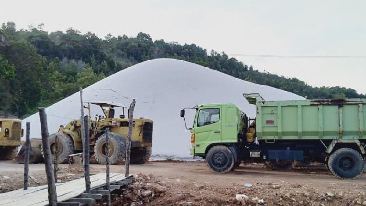 名为“印度尼西亚出口巴西库阿尔萨”的矿工协会向中国出口近100%