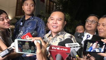 A propos de NasDem-PKB se soutient Prabowo, Dasco: Plus tard soumis par les partis politiques