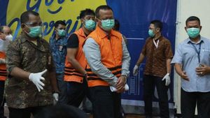 Edhy Prabowo Diciduk KPK: Ekspor Benih Lobster Dihentikan, tapi Hanya Sementara