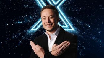 埃隆·马斯克(Elon Musk)断言X不会推出自己的加密代币
