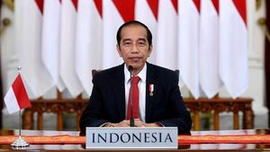 Indonesia Masuk Negara yang Tidak Pernah Lockdown, Jokowi Bangga