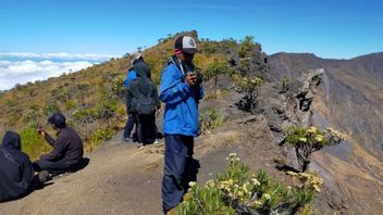 Pendakian Gunung Tambora di Pulau Sumbawa Kembali Dibuka