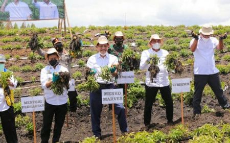 Luhut Panen Raya Kentang di Sumut: Menurut Mentan Syahrul Hasilnya di Atas Rata-Rata Nasional