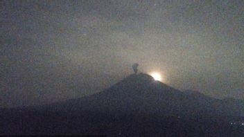 Gunung Semeru Erupsi Jumat Malam