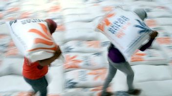 500 Tons of Rice in Bulog Warehouse Disappear, 5 Witnesses Examined by Pinrang Police
