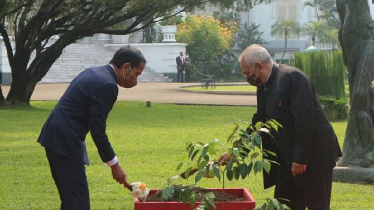 佐科威和何塞·拉莫斯-奥尔塔在茂物宫种植沉香树