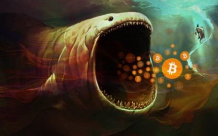 3 Whale Bitcoin Ini Borong 5.300-an Lebih BTC di Saat Harganya Terjun