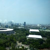 The Origin Of Senayan, The Betawi Village Which Became A Sports Complex