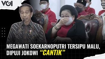 VIDEO: Megawati Soekarnoputri Tersipu Malu, Dipuji Jokowi Cantik