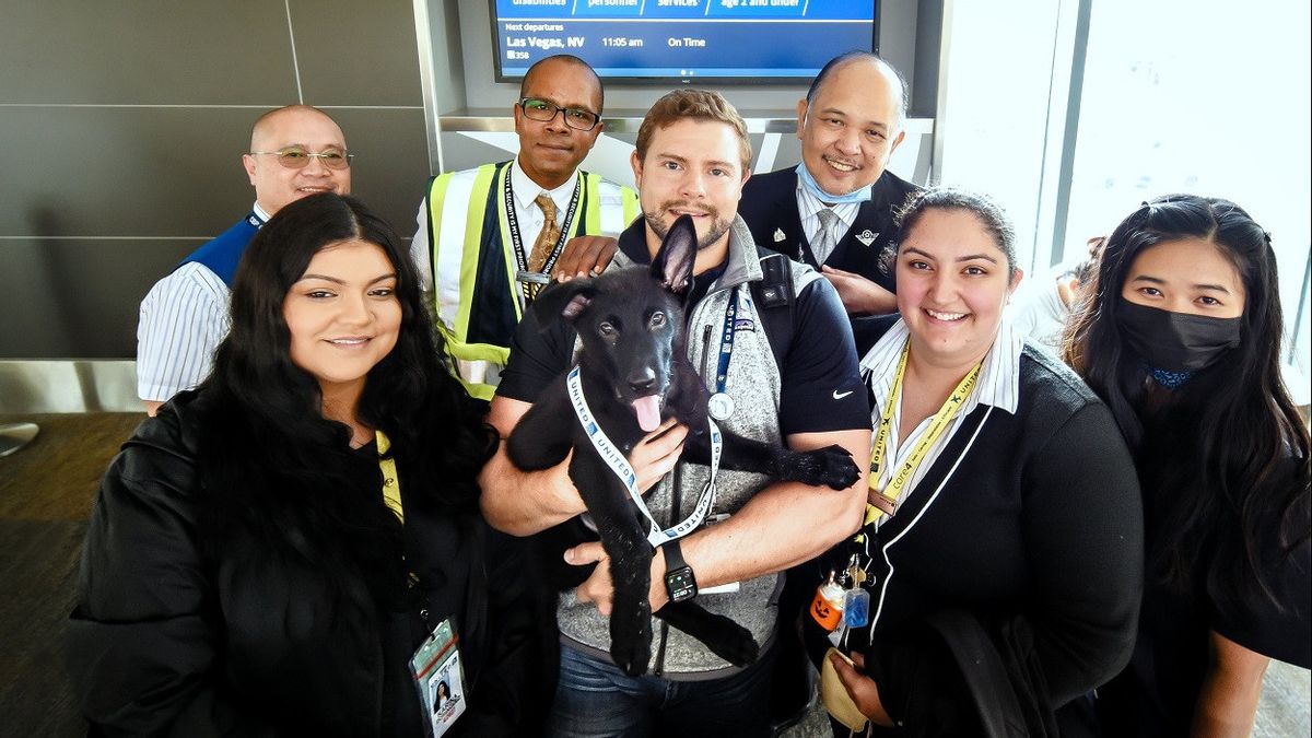 Datang dari Penerbangan Internasional Kemudian Ditinggal di Bandara San Francisco, Anjing Ini Diadopsi Pilot