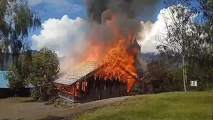Tebar Teror, 12 Gedung Sekolah di Papua Dibakar OPM Sepanjang 2023-2024