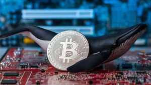 Whale Bitcoin Nyerok 16 445 BTC