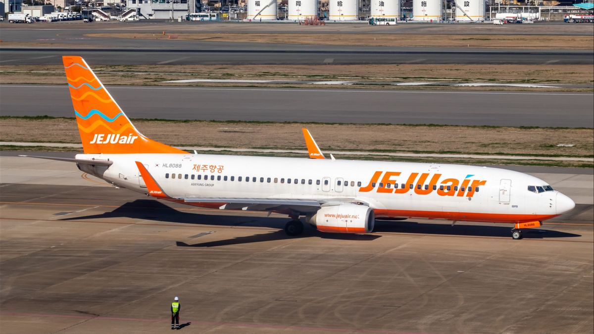 Death Accident Of Jeju Air Plane: Busy Schedule And Minimum Maintenance Becomes A Spotlight