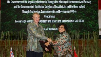 توقيع مذكرة تفاهم واتفاق بين إندونيسيا والمملكة المتحدة على صافي امتصاص الانبعاثات في قطاع الغابات واستخدام الأراضي