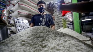 Kecam Pengoplos Beras Premium, Mentan Amran: Pengkhianatan terhadap Konsumen-Petani