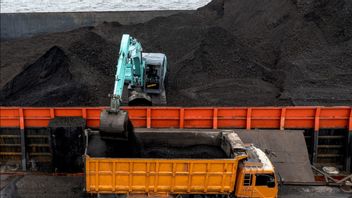 PTBAの石炭生産量は約3,200万トン