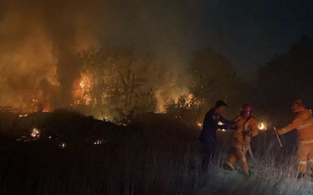 Hanya September, Damkar Catat Karhutla di Bandar Lampung Capai Puluhan Hektare