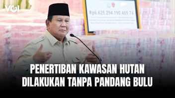 Perintah Presiden Prabowo: Penertiban Kawasan Hutan, Jangan Pandang Bulu dan Jangan Mau Dilobi