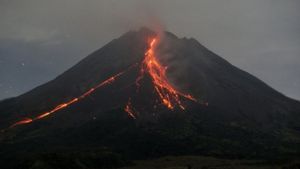 Gunung Merapi Hari Ini: Luncurkan Guguran Lava Pijar 10 Kali Hingga 1.500 Meter