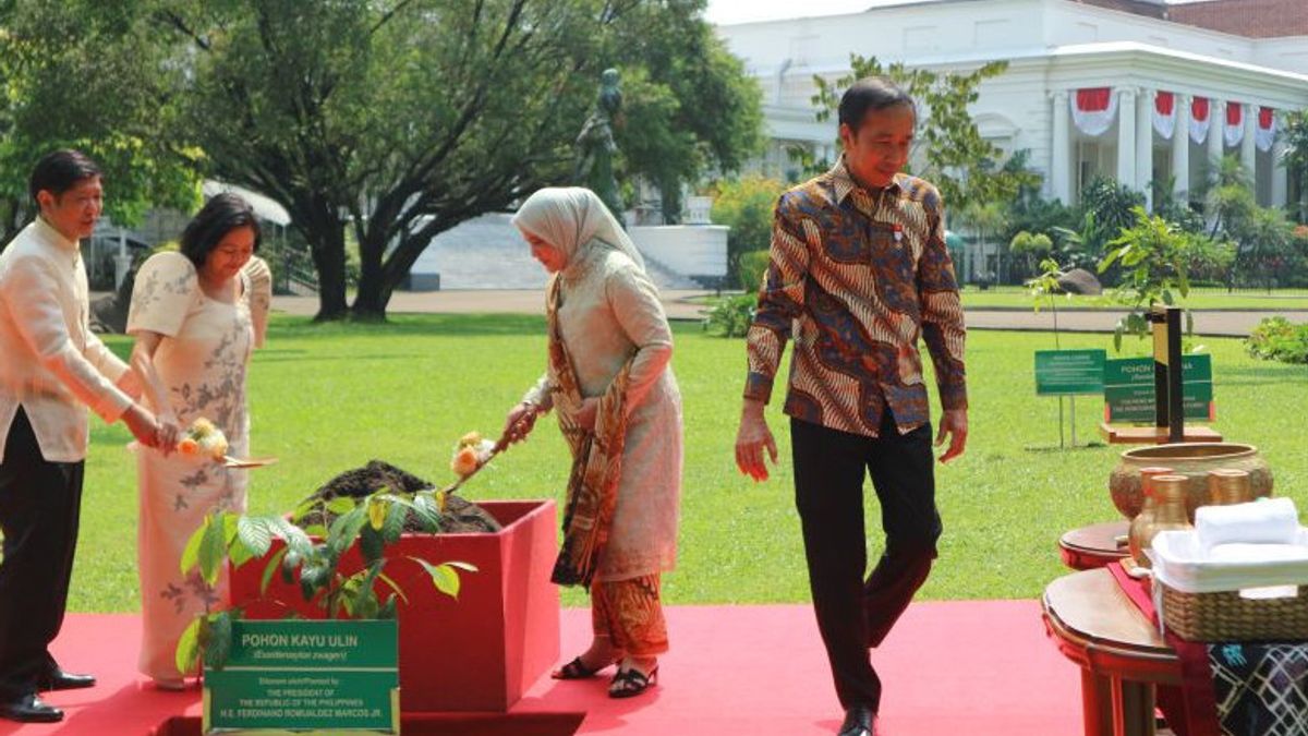 President Jokowi And Ferdinand Marcos Jr Bahas Isu Bilateral