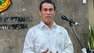 Mentan Amran Lapor ke Prabowo soal Stok Pangan Nasional: Cadangan Beras Mencukupi hingga Akhir Tahun