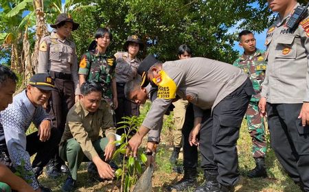 Penghijauan Digalakkan di Eks Tambang Emas Ilegal Gunung Prabu Lombok