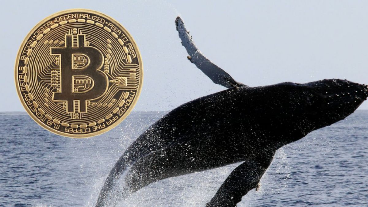 Mr. Bitcoin Whale. 100 Makes Crypto Market Geger