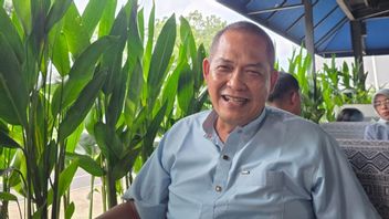 Nama Dirjen Bea Cukai Muncul di Dakwaan Bos Blueray, Pengondisian Jalur Impor Jadi Sorotan