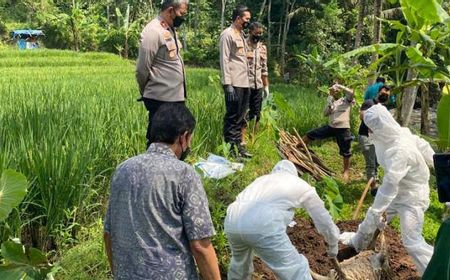 Ancaman Serius dari Penemuan Bangkai 50 Kambing di Kali Sungai, Virus PMK Bisa Masuk ke Lahan Pertanian