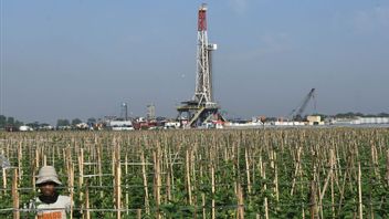 Pemerintah Dorong Penguatan Industri Hulu untuk Percepat Transformasi Industri Nasional