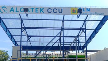 इंडोनेशिया में पहला एल्गा आधारित PLN NP Ujicobakan कार्बन कैप्चर और स्टोरेज