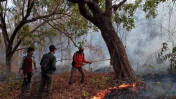 Karhutla In Baluran Situbondo National Park Reaches 2.18 Hectares