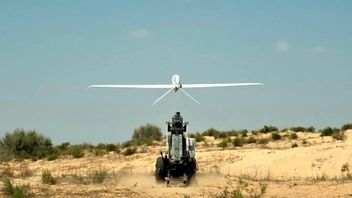 イスラエルの無人機攻撃は、レバノンで2人のヒズボラ司令官を殺害したと言われている
