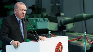 Turki Gandeng Azerbaijan dan Georgia Selidiki Jatuhnya Pesawat Angkut Militer