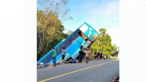 Bus Damri Pontianak-Putussibau <i>Nyungsep</i> di Jalan Kapuas Hulu, Alhamdullilah Penumpang Selamat