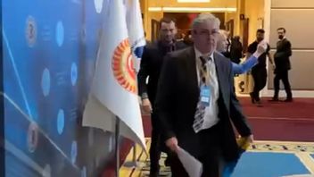 Flag Rebutted, Ukrainian Delegation Boxes Russian Representatives In Turkey