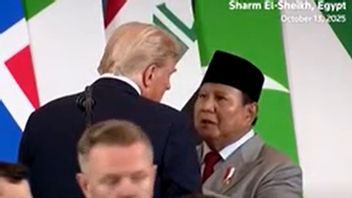 Prabowo Arrested 'Hot Mic', Asks Trump To Introduce With His Son Eric