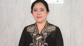 Masuk 5 Besar Survei Capres-Cawapres, Puan Maharani kian 'Seksi'