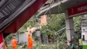 Pohon Tumbang Timpa SPBU Salemba, 4 Orang Luka