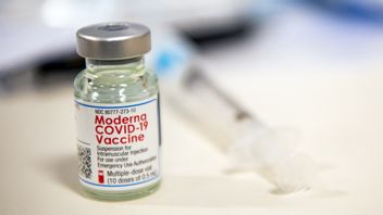 Moderna Vaccine Booster Injection Can Increase Antibodies Against COVID-19 Variants