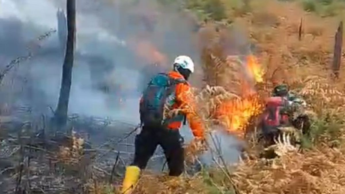 BKSDA Tambah Personel Padamkan Kebakaran Hutan di Gunung Papandayan