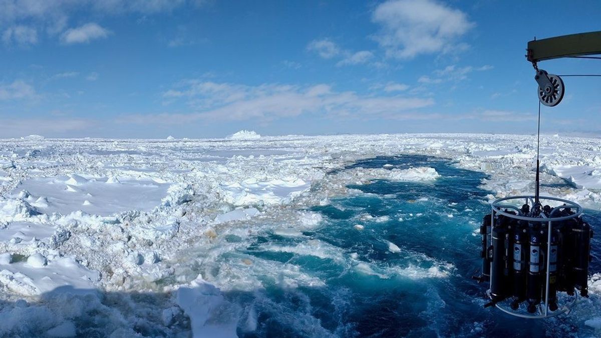NASA Amati Sampel Air dari Laut Antartika untuk Cari Tanda Kehidupan di Luar Bumi 