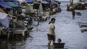 Pesisir Jakarta Utara Berpotensi Banjir Rob Hingga 22 Agustus, Warga Diminta Waspada