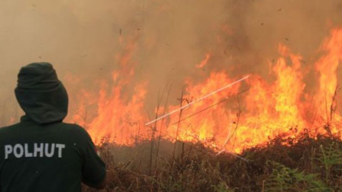 アチェの森林火災に注意 Bmkgは14のホットスポットを検出しました
