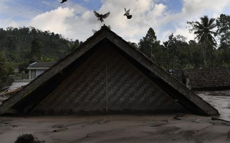 BNPB Siapkan Dana Tunggu Hunian untuk Pengungsi Bencana Gunung Semeru