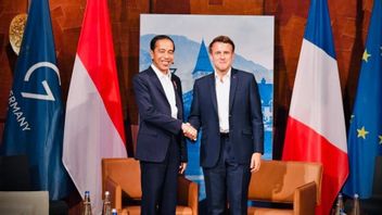 Appreciating President Macron's Efforts To Mediate The Russia-Ukraine Conflict, President Jokowi: If The War Continues, The Food Crisis Will Worsen