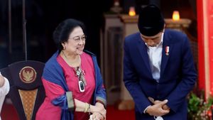 Hasto Ungkap Jokowi Berniat Rebut Kursi Ketua Umum PDIP dari Megawati