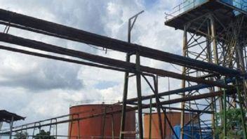 商務省: CPOの基準価格、インドと中国の需要により上昇